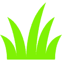 grass