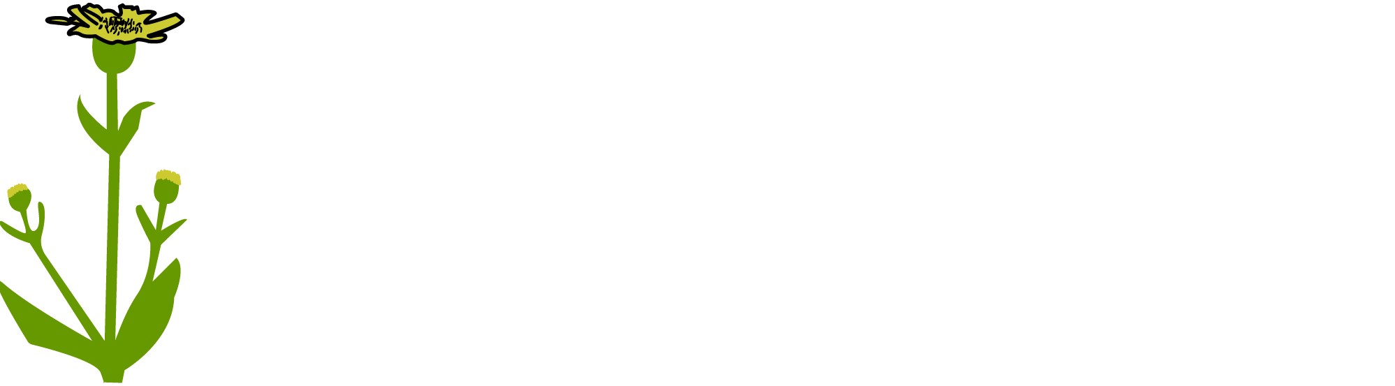 footer-Arizona-Homeopathy-Logo