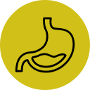 stomach